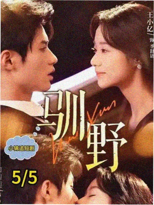 凤舞九天